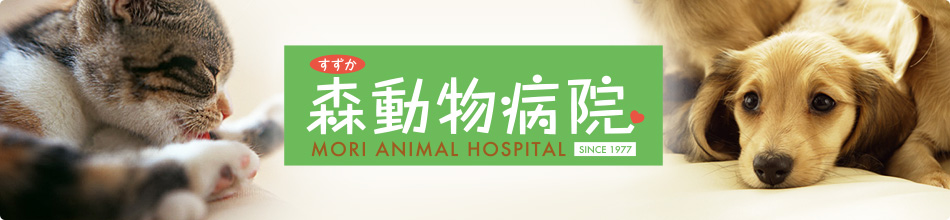 森動物病院